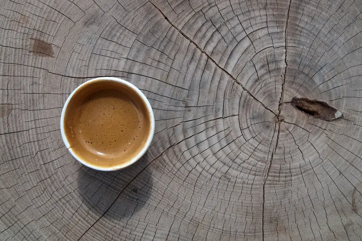 Taza de espresso vista desde arriba sobre un tocón de madera con anillos de crecimiento