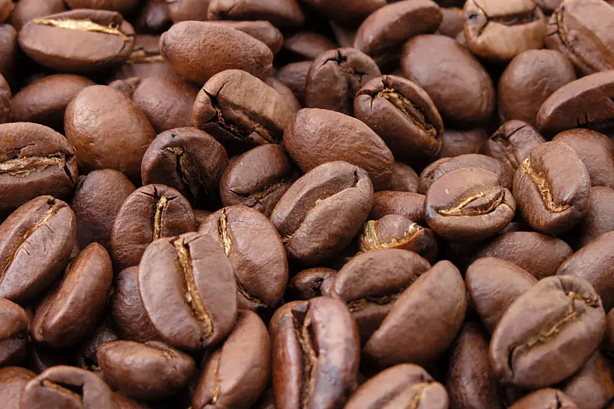Primer plano de granos de café recién tostados